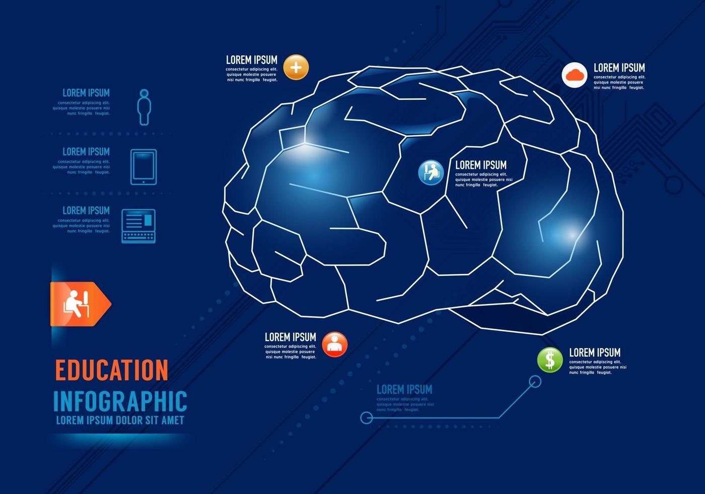 banner di opzioni di progettazione del concetto di cervello di educazione infografica. vettore