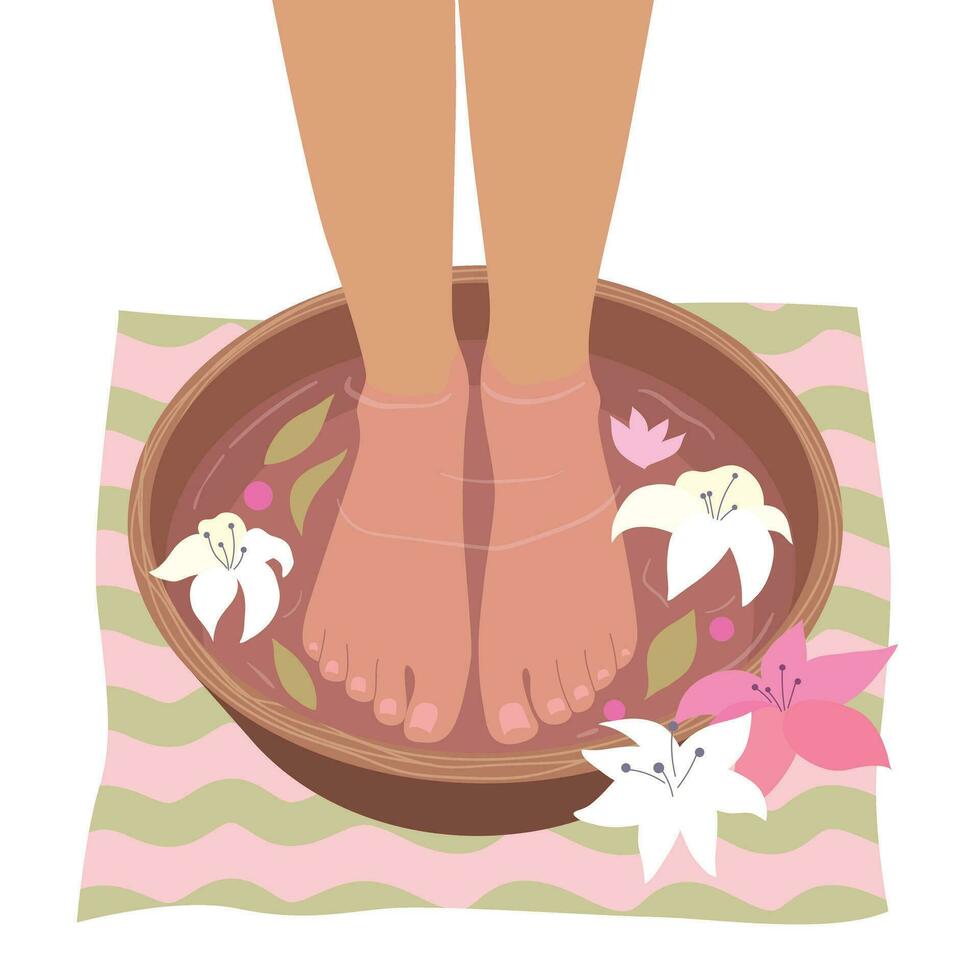 piede terme trattamenti. Da donna piedi nel ciotola con fiori e le foglie. bellezza salone. piede bagno. vettore illustrazione con terme procedure. pedicure superiore Visualizza. femmina gambe durante tailandese massaggio