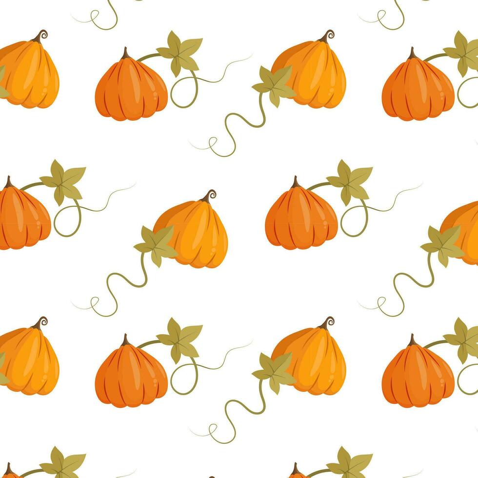 carino zucca modello. autunno vibrazione vettore illustrazione con zucche nel cartone animato stile.