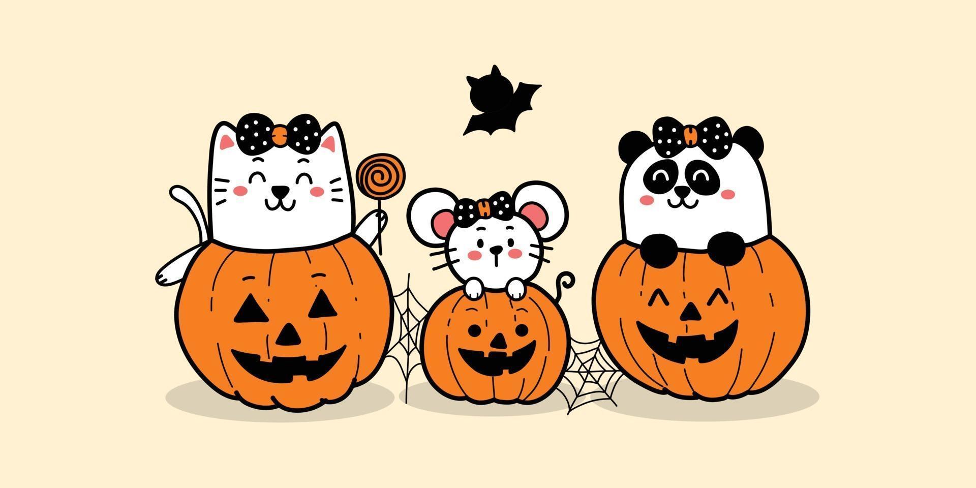 felice halloween cartone animato simpatico gatto ratto e panda nelle zucche. partito vettore