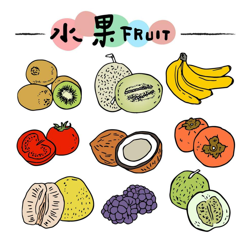 mano disegnato linea frutta illustrazione. salutare cibo concetto. colorato grande collezione con frutta e verdure. vettore