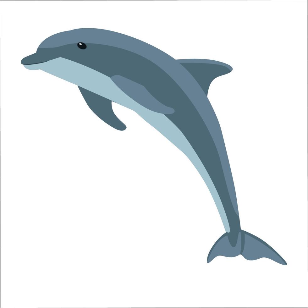 disegno dell'illustrazione di vettore del clipart di colore del delfino