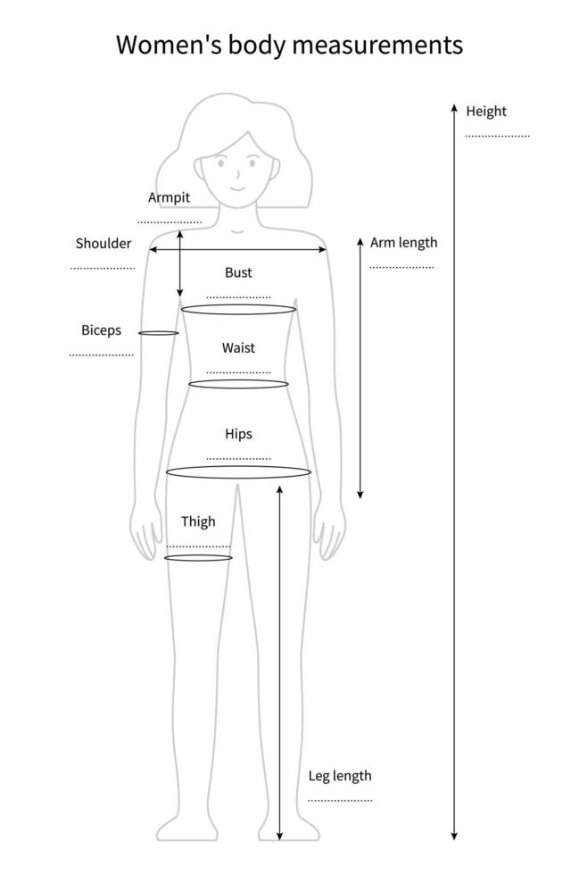 misure vettoriali del contorno del corpo femminile