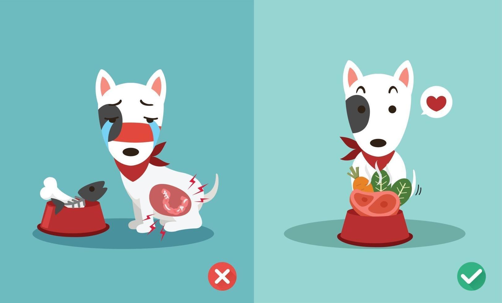 modi giusti e sbagliati per nutrire i cani, illustrazione vettore