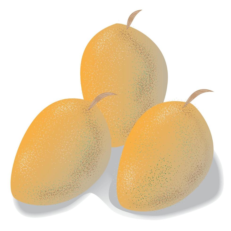 frutta fresca di mango vettore