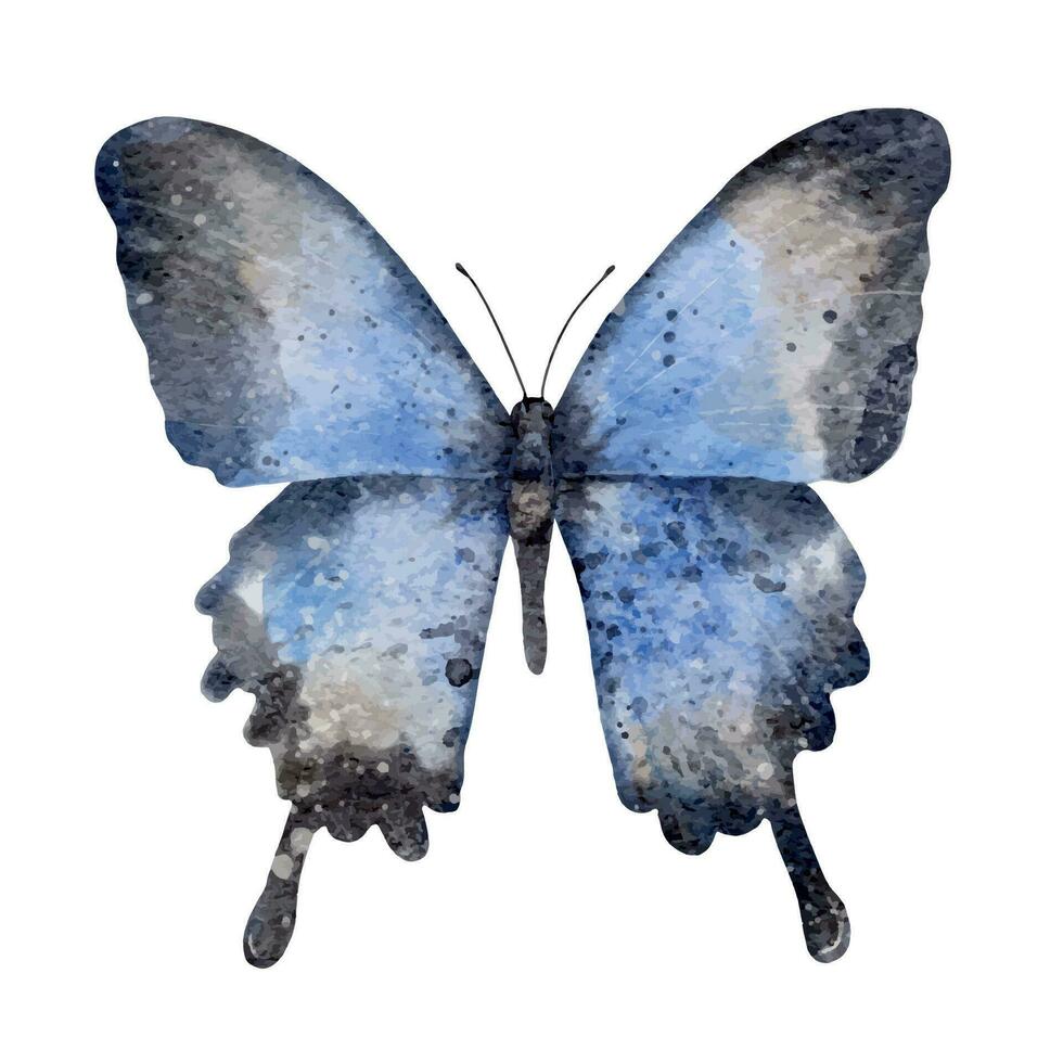 acquerello blu la farfalla. insetto. estate illustrazione vettore