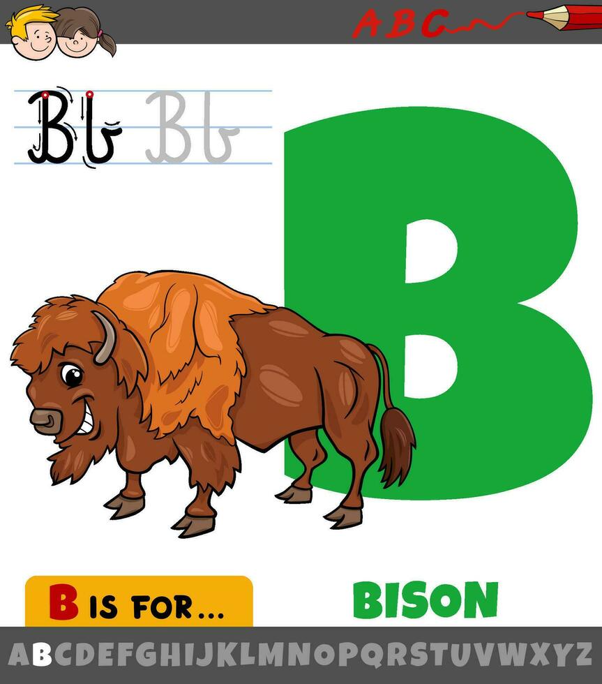 lettera B a partire dal alfabeto con cartone animato bisonte animale vettore