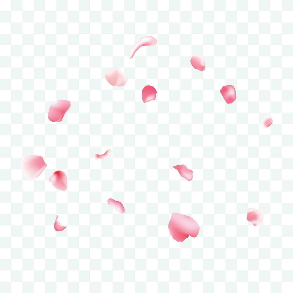 vettore caduta rosa sakura petali realistico illustrazione