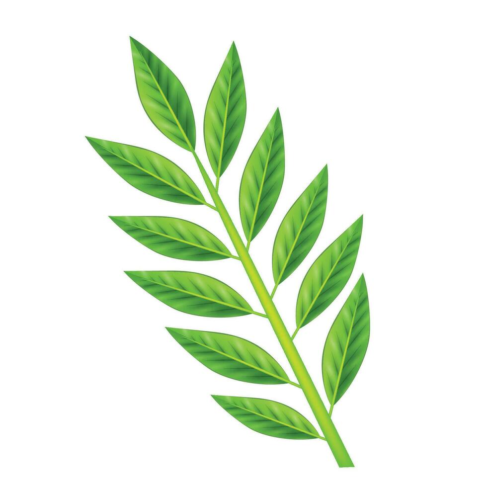 vettore verde tè le foglie vettore realistico isolato su bianchi illustrazione