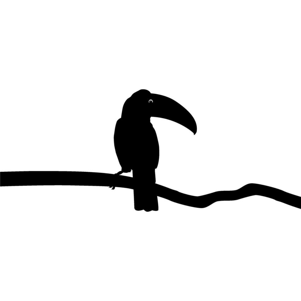 tucani siamo neotropicale membri di il vicino passeraceo uccello famiglia ramphastidae. il ramphastidae siamo maggior parte strettamente relazionato per il americano barbetti, uccello silhouette. vettore illustrazione