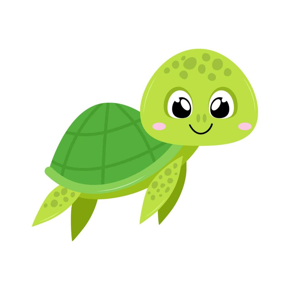 mare tartaruga. cartone animato illustrazione di carino verde tartaruga isolato su bianca sfondo vettore
