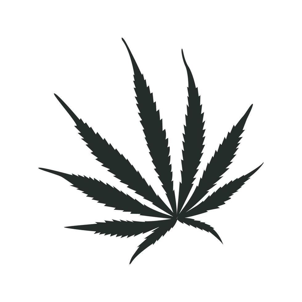 marijuana foglia icona grafico vettore design illustrazione