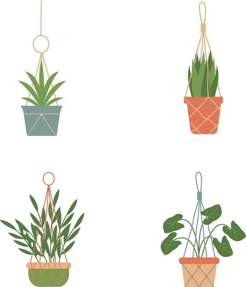 sospeso in vaso pianta con diverso genere pianta. vettore illustrazione impostare.