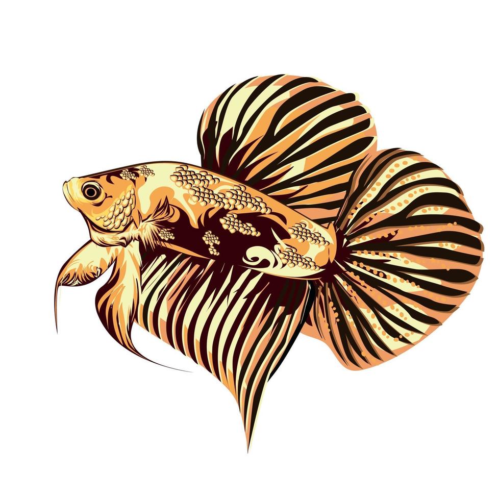 immagine vettoriale illustrazione di pesce betta