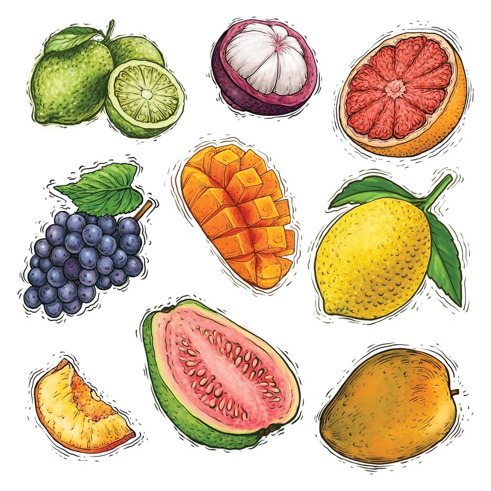 set di illustrazione dell'acquerello della raccolta di frutta vettore