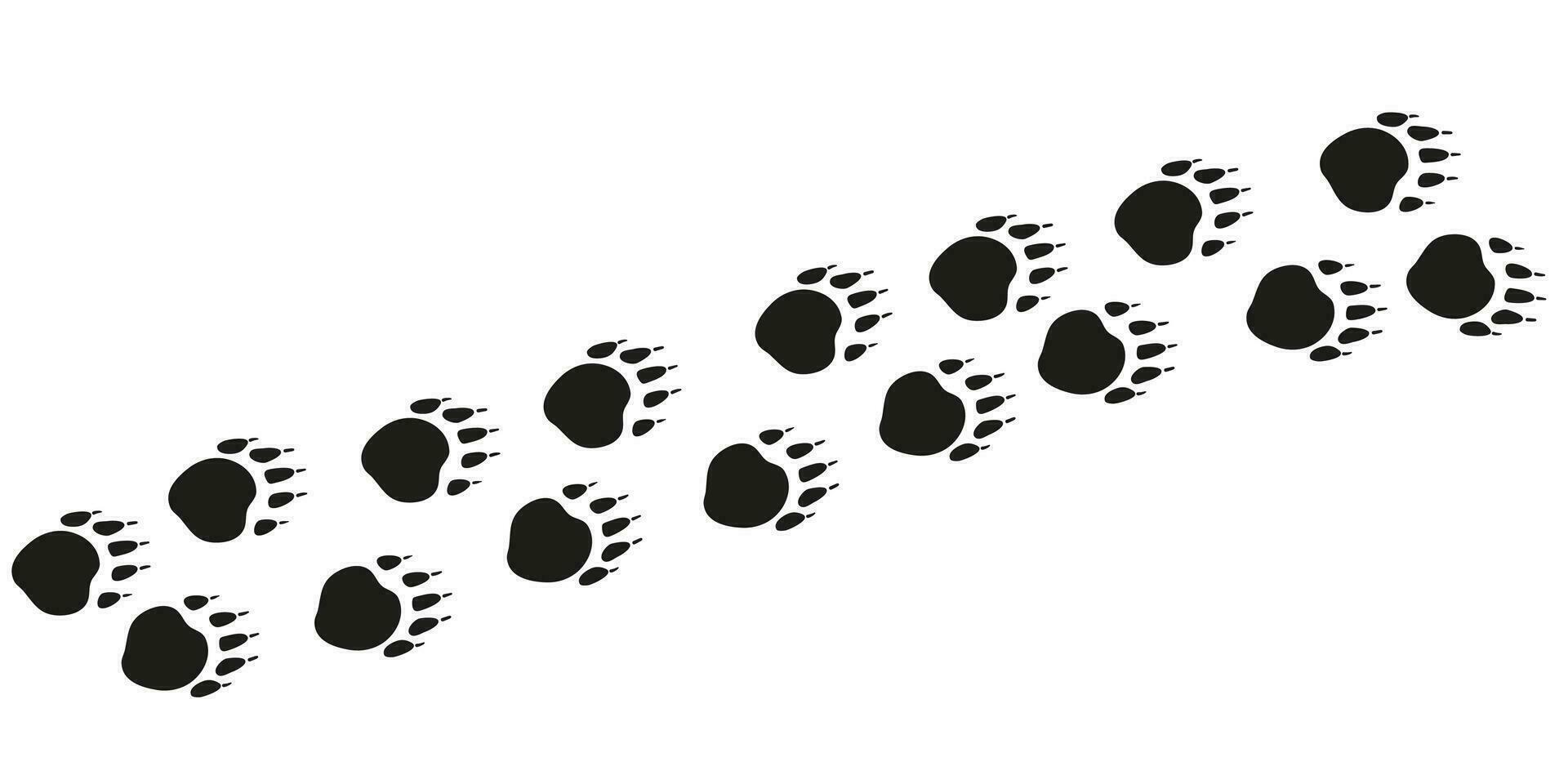 tasso zampe. animale piede tracce. tasso nero impronte su bianca sfondo. piatto vettore illustrazione. design per Stampa, decorazione, bambini educativo libro
