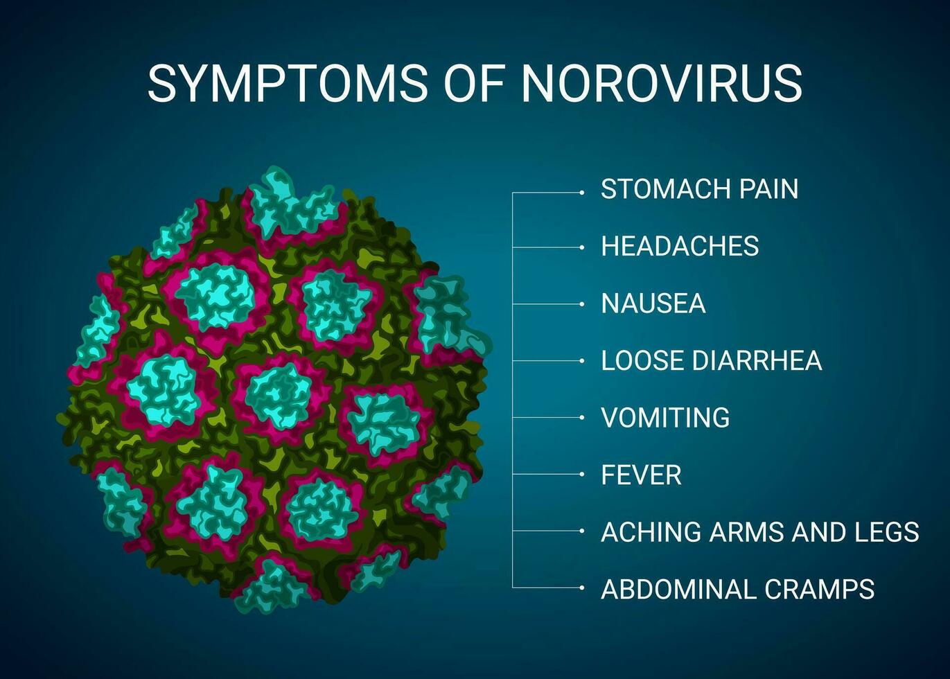 norovirus sintomi illustrazione, medico Infografica vettore