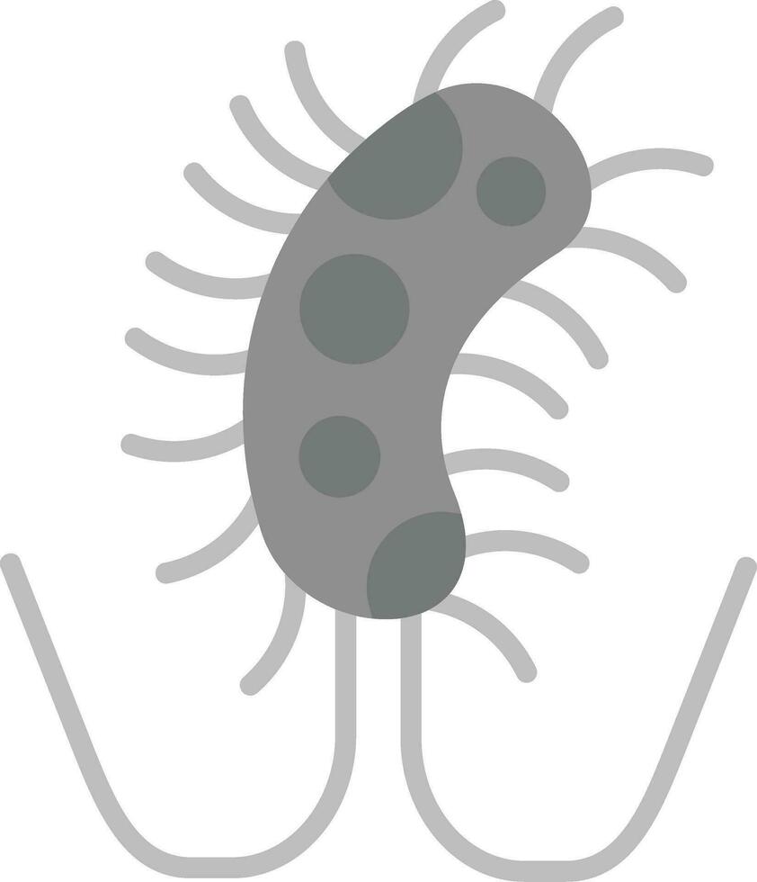 salmonella vettore icona