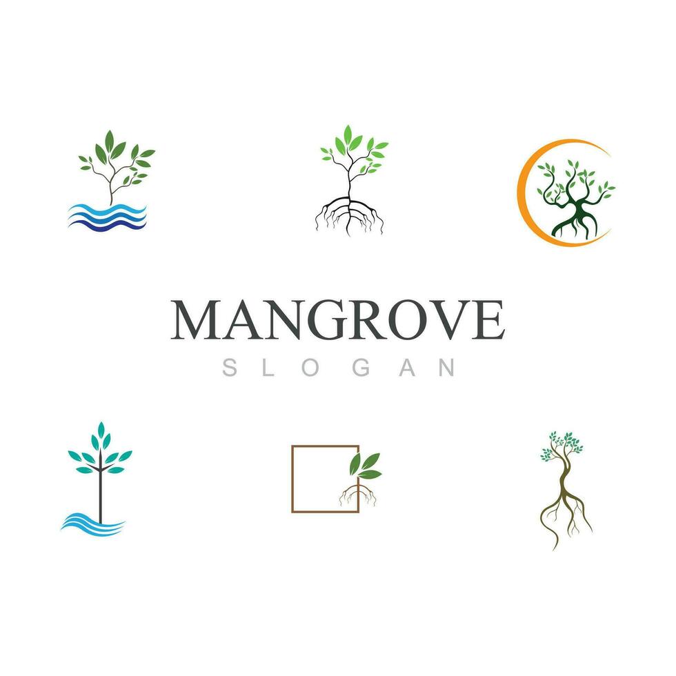 mangrovia logo icona vettore