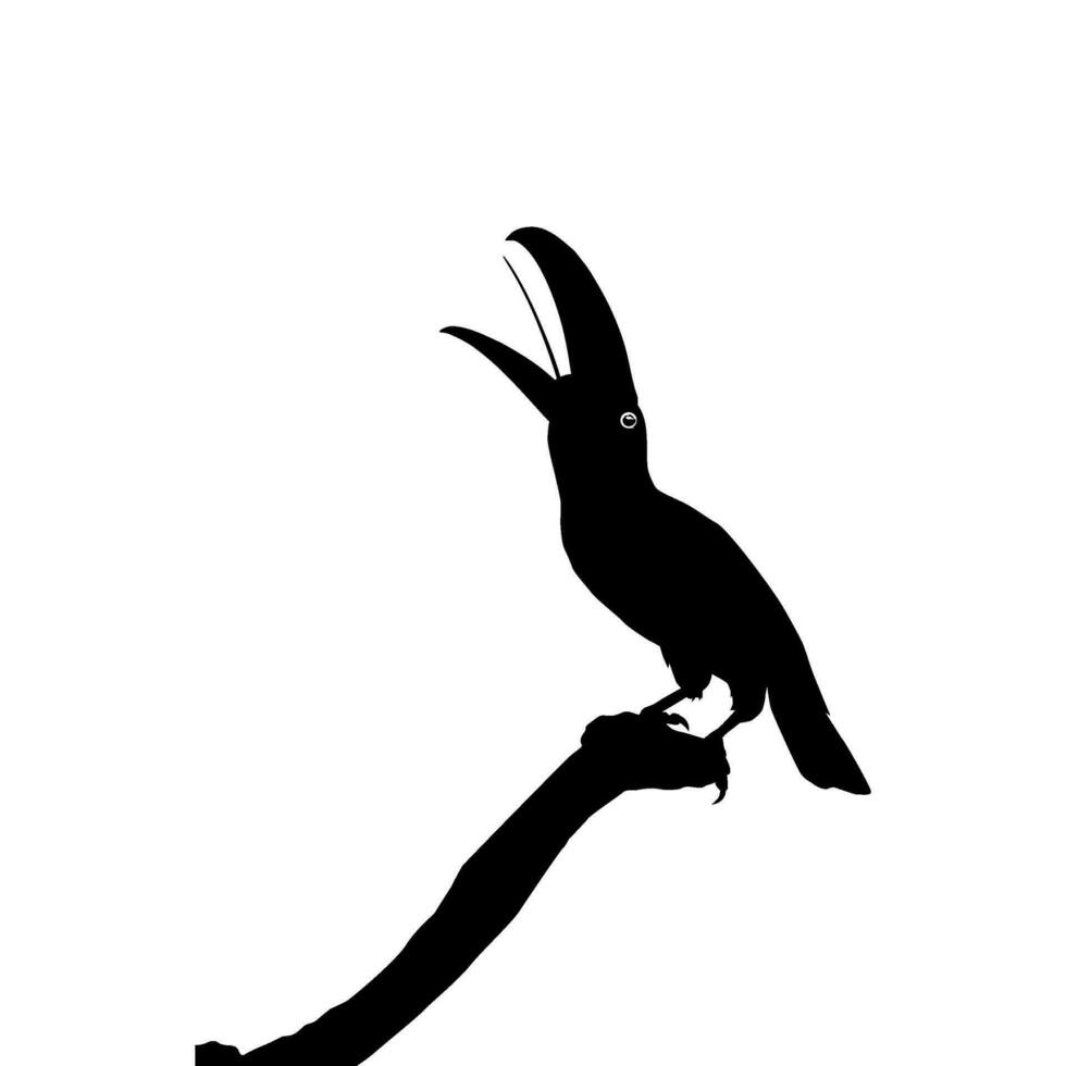 tucani siamo neotropicale membri di il vicino passeraceo uccello famiglia ramphastidae. il ramphastidae siamo maggior parte strettamente relazionato per il americano barbetti, uccello silhouette. vettore illustrazione