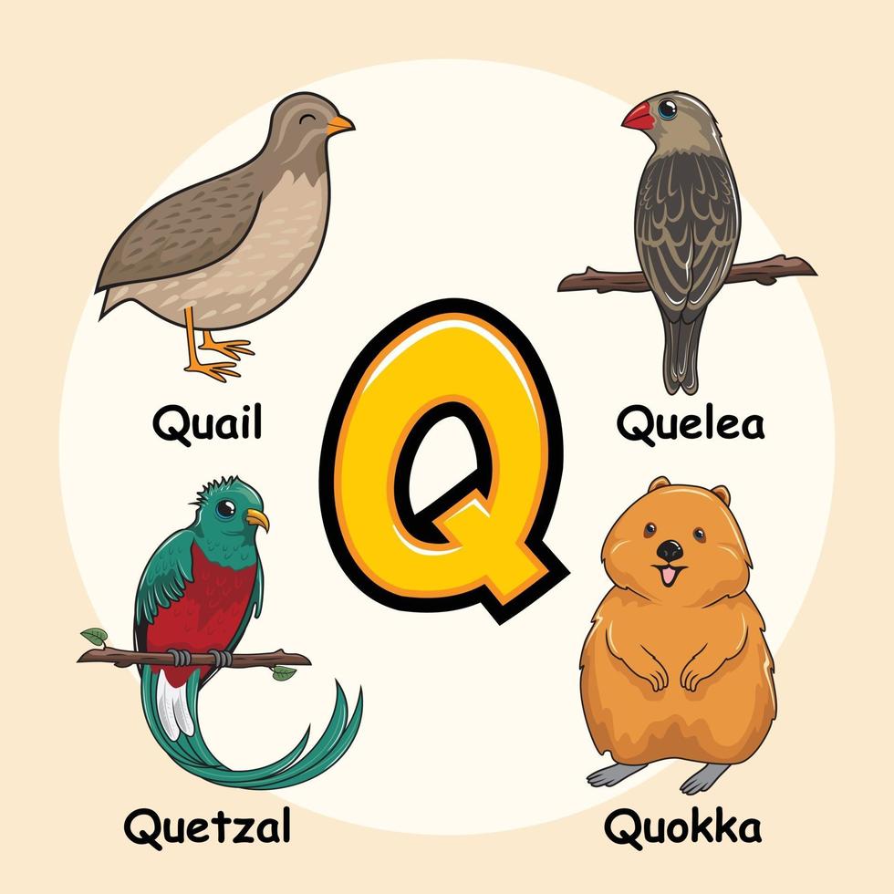 animali alfabeto lettera q per quaglia quelea quetzal quokka vettore