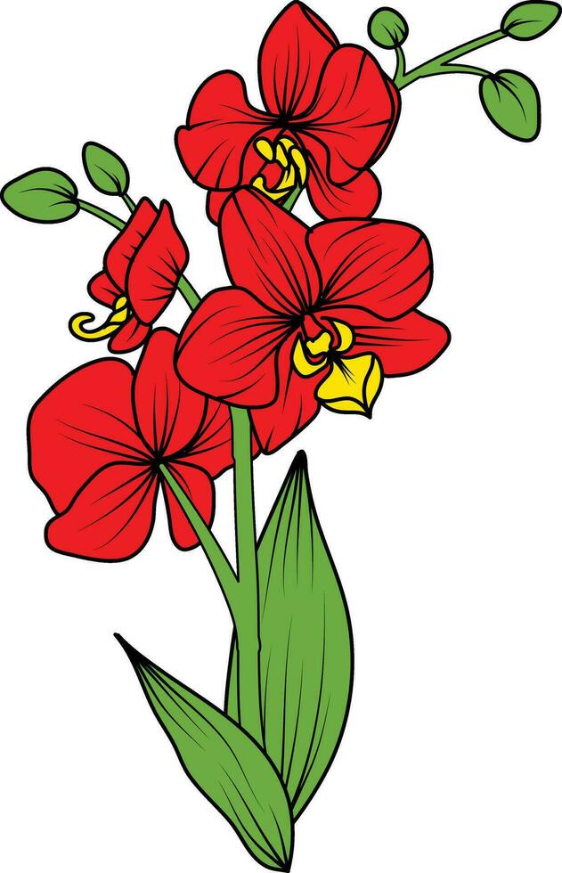 rosso orchidea ramo vettore fiore, illustrazione di bellissimo rosso orchidea fiore