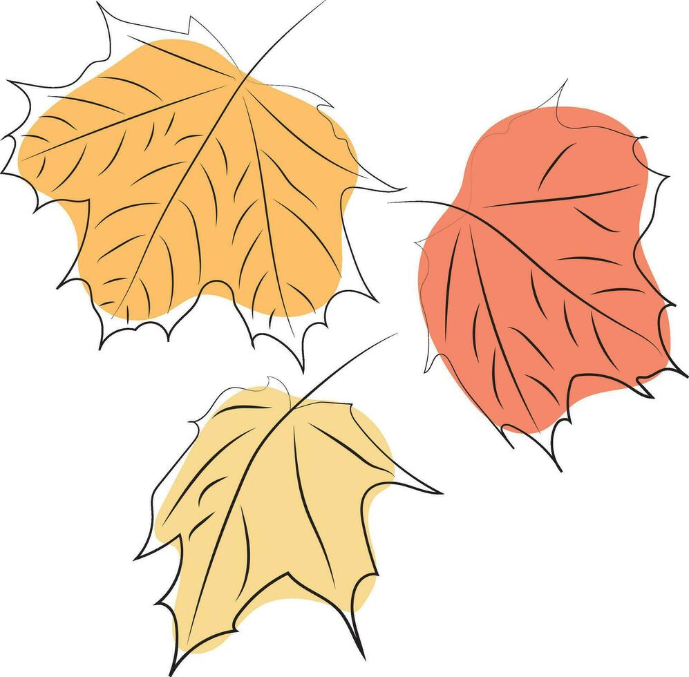acero le foglie. linea arte. autunno colore linea arte. alto qualità vettore illustrazione.