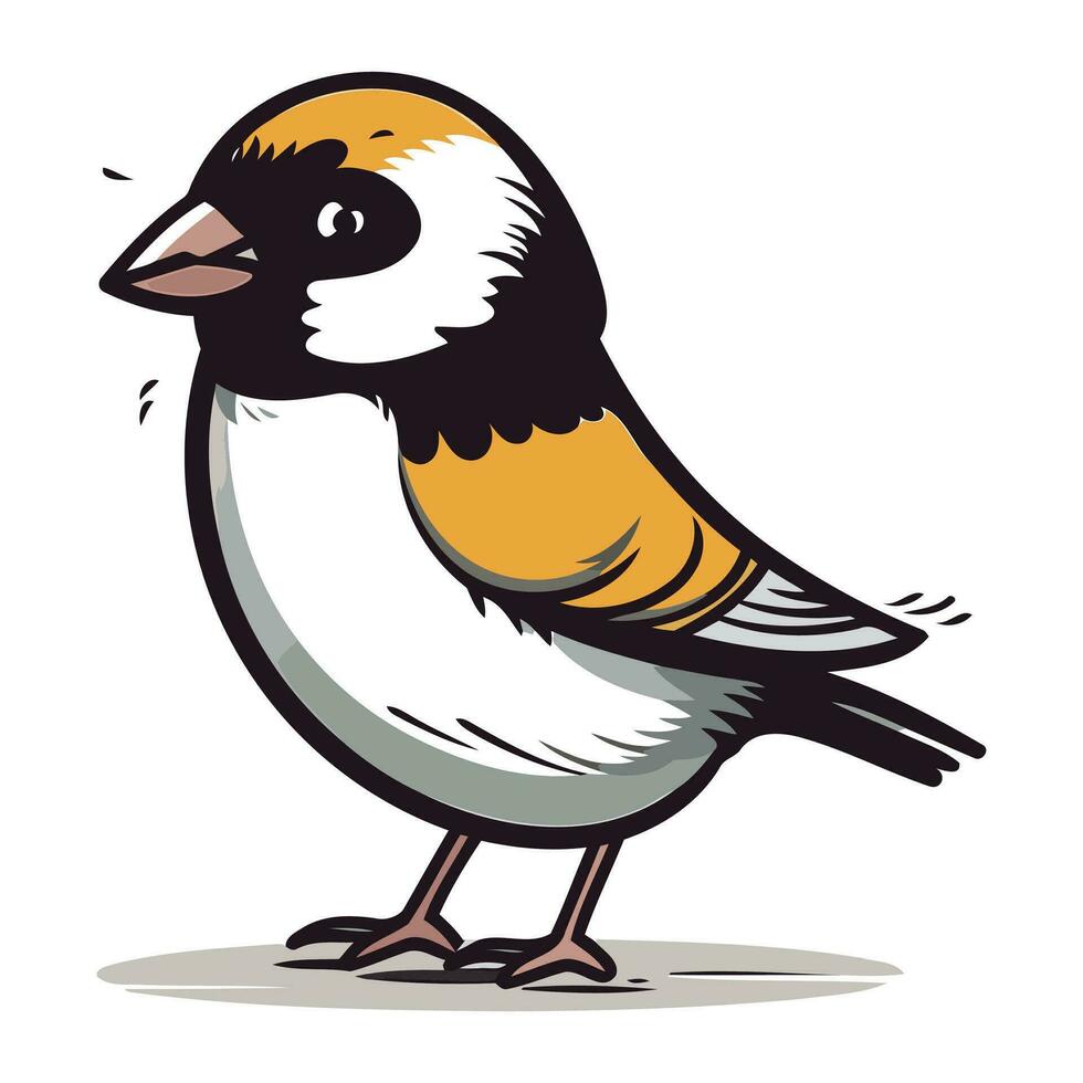 illustrazione di un' ciuffolotto uccello isolato su un' bianca sfondo vettore
