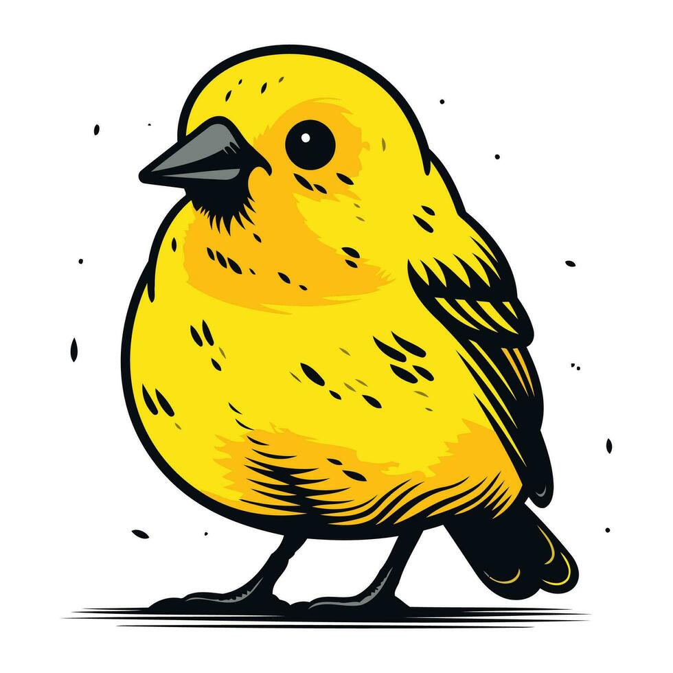 illustrazione di un' carino poco giallo uccello su un' bianca sfondo. vettore