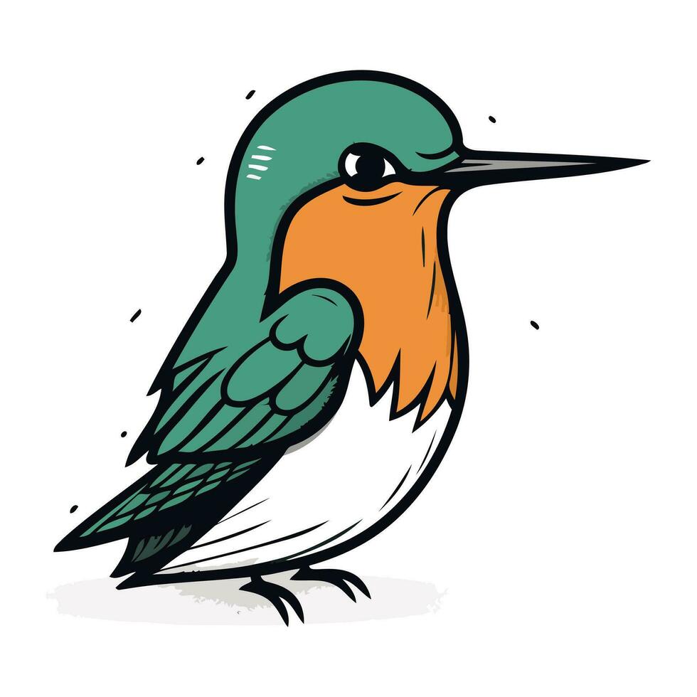vettore illustrazione di un' bellissimo uccello su un' bianca sfondo. mano disegnato vettore illustrazione.