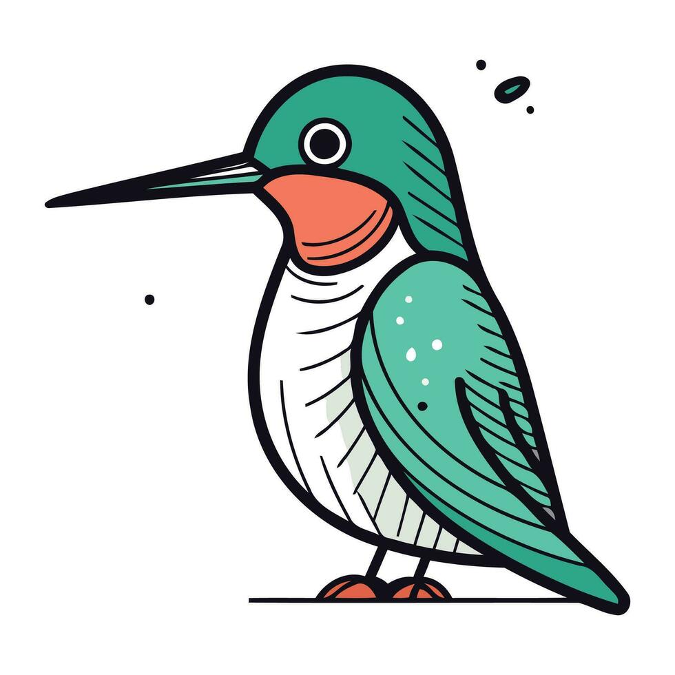 colibrì isolato su bianca sfondo. mano disegnato vettore illustrazione.