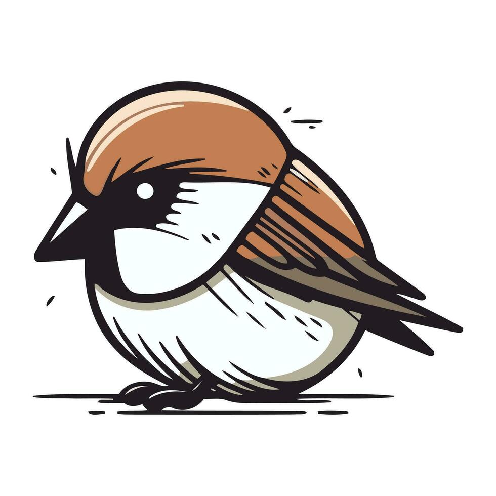 passero. mano disegnato vettore illustrazione di un' passero.