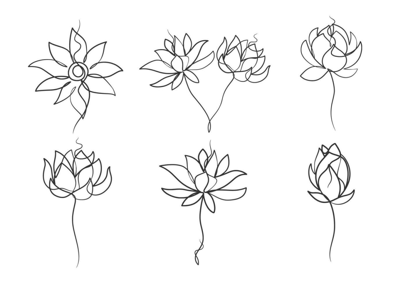 continuo uno linea arte disegno di bellezza loto fiore vettore