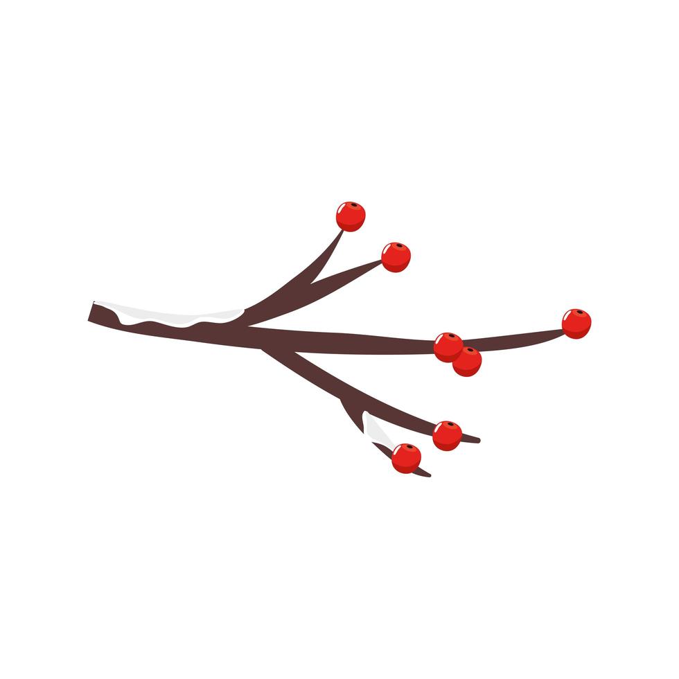 ramo con frutti di agrifoglio tradizionale icona isolata di natale vettore