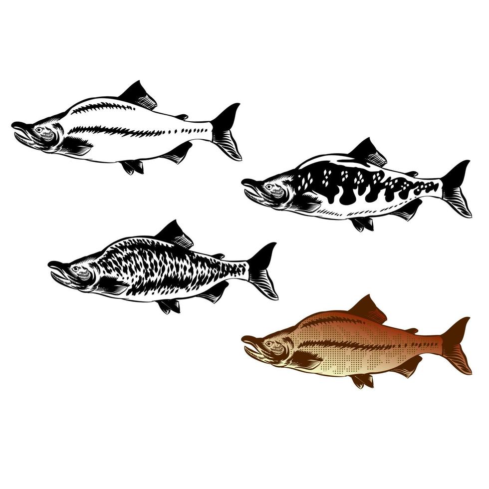 illustrazione di vettore di salmone vintage