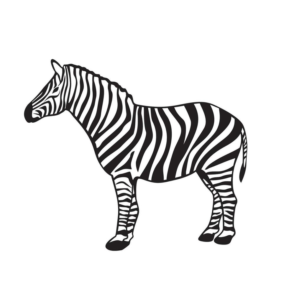 zebra silhouette design. africano animale cartello e simbolo. vettore