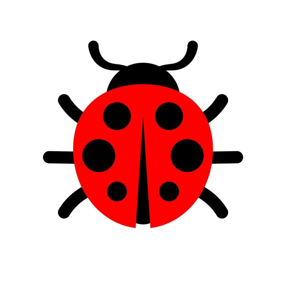 coccinella o coccinella vettore grafico illustrazione, isolato. carino semplice piatto design di nero e rosso signora coleottero.