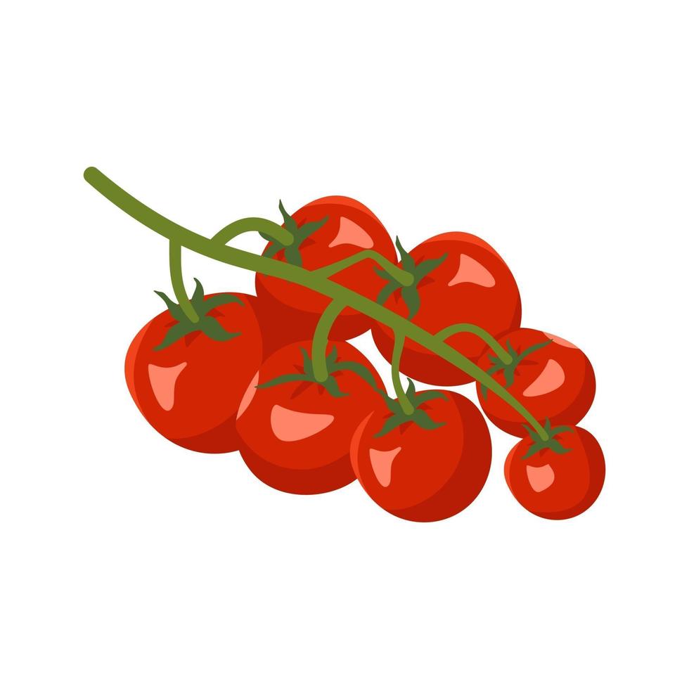 pomodori su un ramo. verdura rossa, raccolto vettore