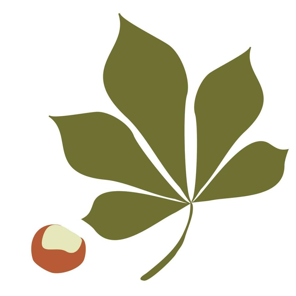 castagne e foglia. piatto stile vettore isolato su un' bianca sfondo. autunno floreale illustrazione per ringraziamento giorno decorazione, raccogliere Festival. di stagione design elementi, botanico oggetti