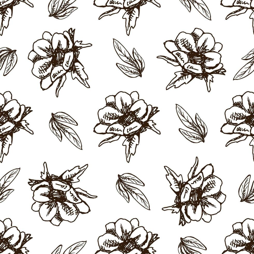 senza soluzione di continuità modello di mano disegnato anemone. monocromatico fiore scarabocchio. nero e bianca Vintage ▾ elemento. vettore schizzo. dettagliato retrò stile.