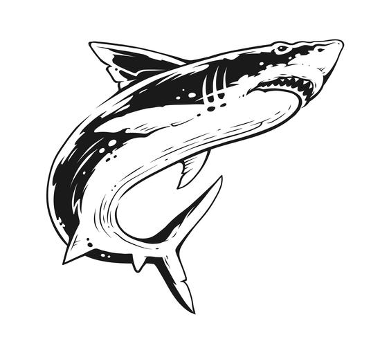 Arte vettoriale di contrasto in bianco e nero di squalo