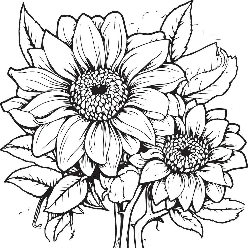 disegno di girasole da colorare vettore