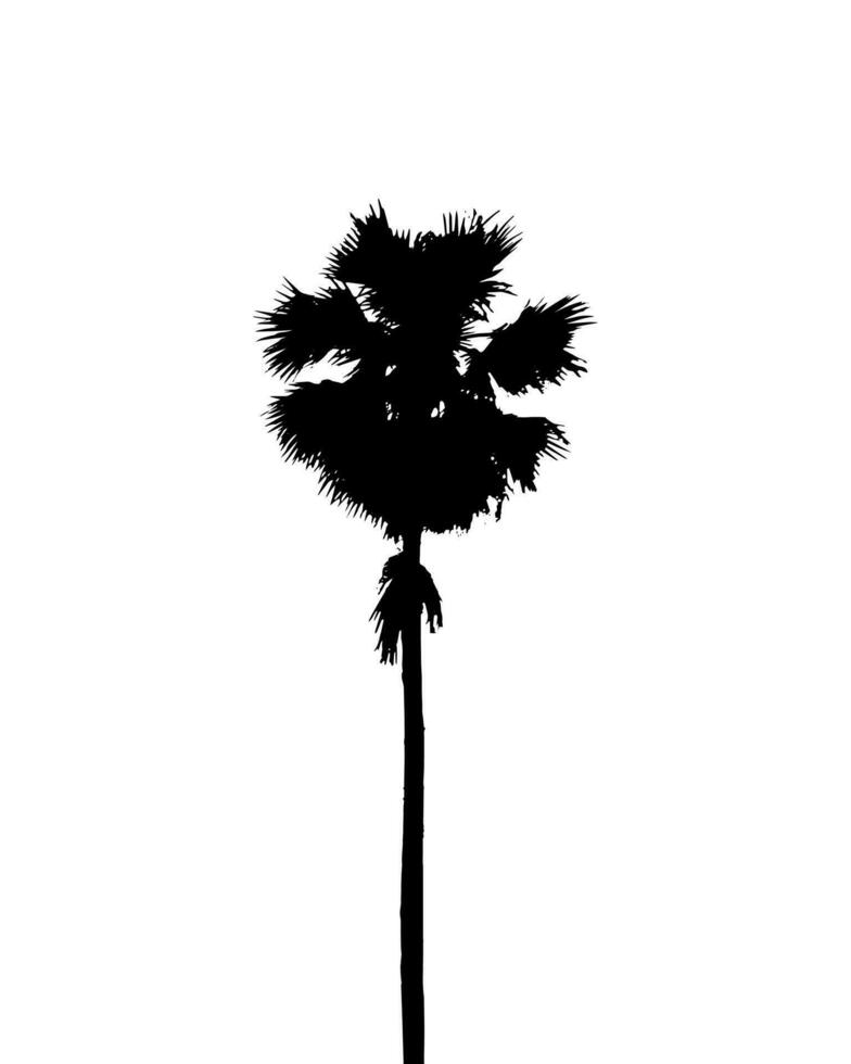 palma albero silhouette vettore illustrazione, silhouette di palma albero su bianca sfondo vettore arte, nero colore ,