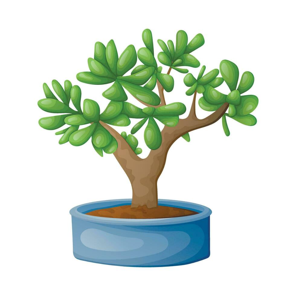 vettore isolato cartone animato illustrazione di casa in vaso succulento giada Bonsai pianta.