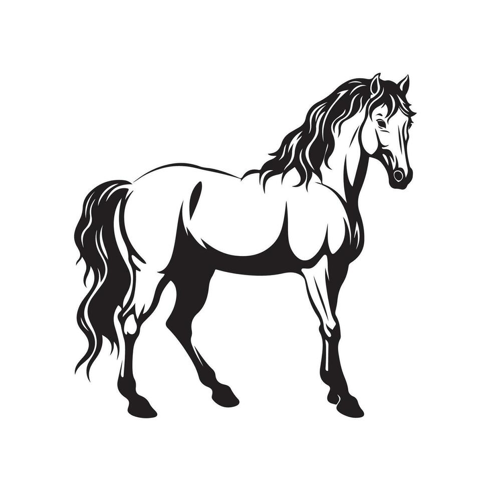 cavallo vettore Immagine, disegno, illustrazione