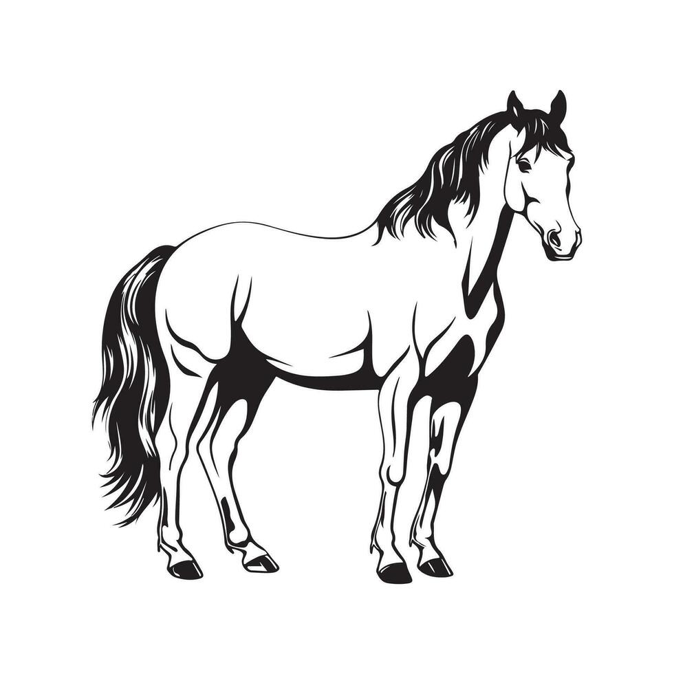 cavallo vettore Immagine, disegno, illustrazione