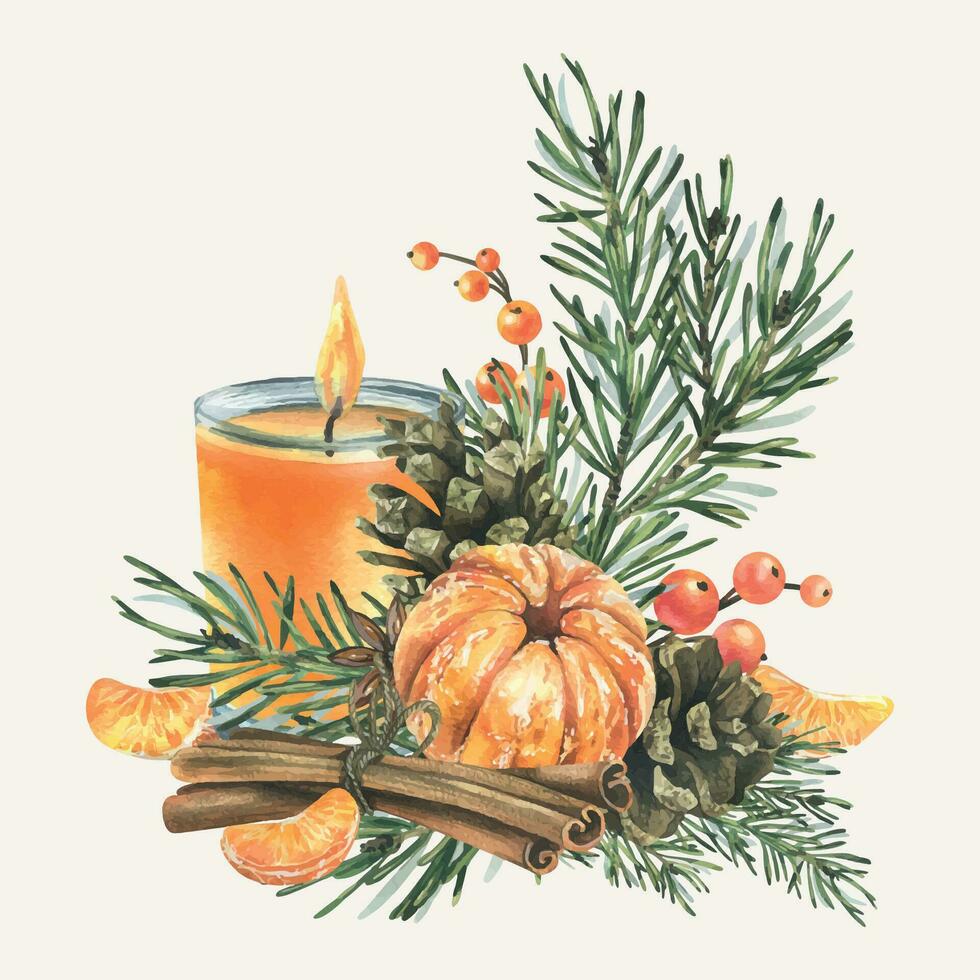 pelato mandarino con abete rosso rami, pino coni, candela e spezie. mano disegnato acquerello illustrazione. isolato composizione su un' bianca sfondo per nuovo anno e Natale. vettore