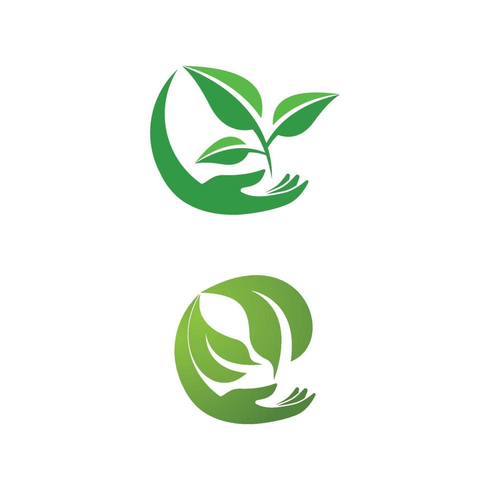 foglia icona illustrazione vettoriale design logo modello