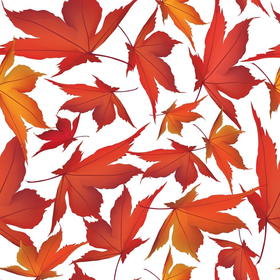 foglie d'autunno senza cuciture. autunno foglia giardino natura sfondo vettore