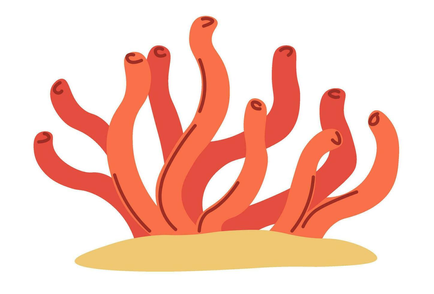 gracilaria rosso alga marina in crescita su sabbia vettore